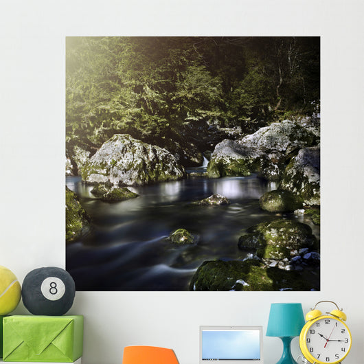 Aged Boulders Covered with Wall Decal Design 2