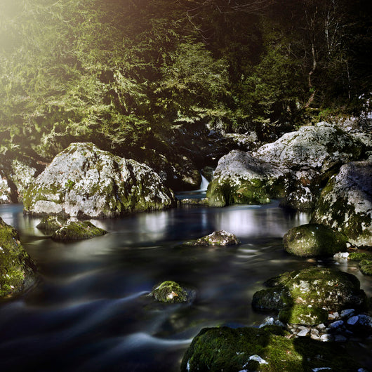 Aged Boulders Covered with Wall Decal Design 2