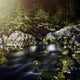 Aged Boulders Covered with Wall Decal Design 2