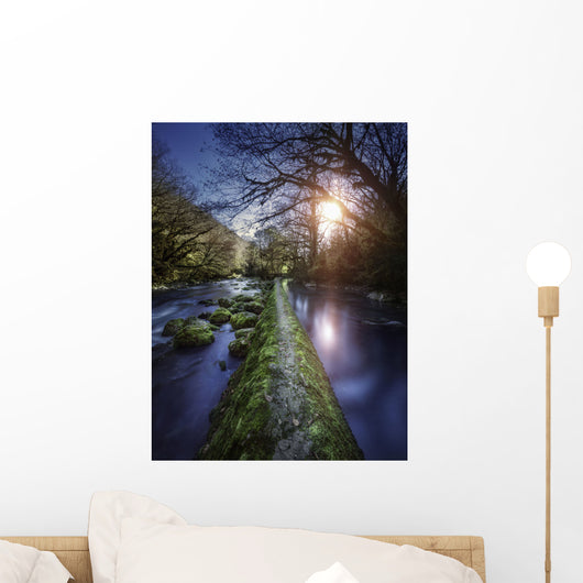 Natural Path between Two Wall Decal