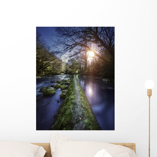 Natural Path between Two Wall Decal