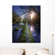 Natural Path between Two Wall Decal