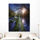 Natural Path between Two Wall Decal