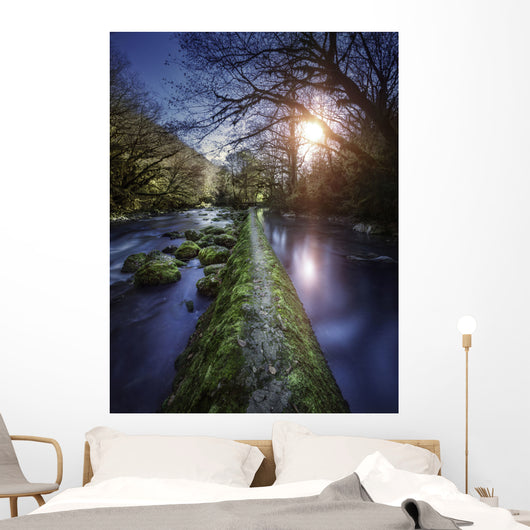 Natural Path between Two Wall Decal