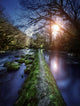 Natural Path between Two Wall Decal