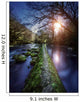 Natural Path between Two Wall Decal