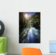 River Forest Sunset Ritsa Wall Decal Design 1