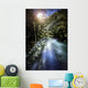 River Forest Sunset Ritsa Wall Decal Design 1
