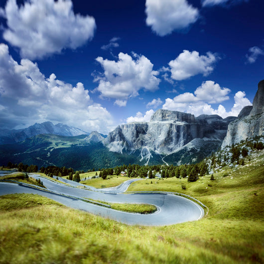 Winding Road Forest Dolomite Wall Decal Design 2
