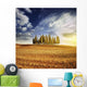 Sunset Golden Field with Wall Decal