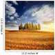 Sunset Golden Field with Wall Decal