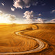 Country Road Field Sunset Wall Decal Design 3