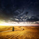 Country Road Field Sunset Wall Decal Design 2