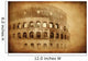 Vintage Photo Coliseum Rome Wall Decal