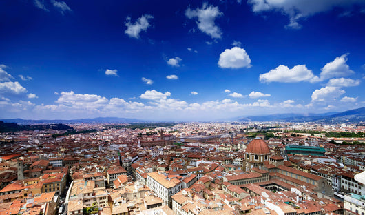 Aerial Milan Italy Wall Decal