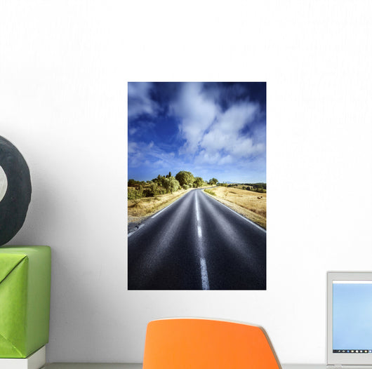 Asphalt Road against Tranquil Wall Decal