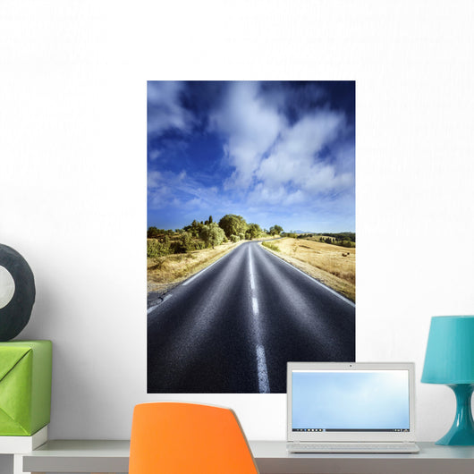 Asphalt Road against Tranquil Wall Decal