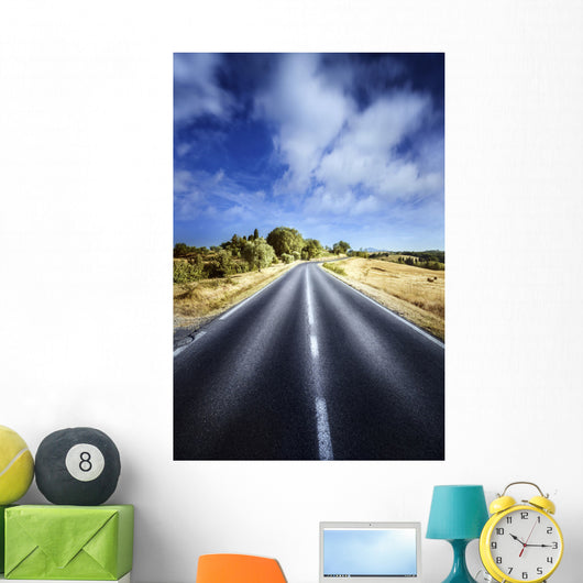 Asphalt Road against Tranquil Wall Decal