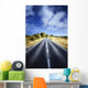 Asphalt Road against Tranquil Wall Decal