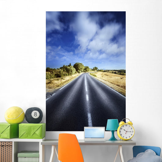 Asphalt Road against Tranquil Wall Decal