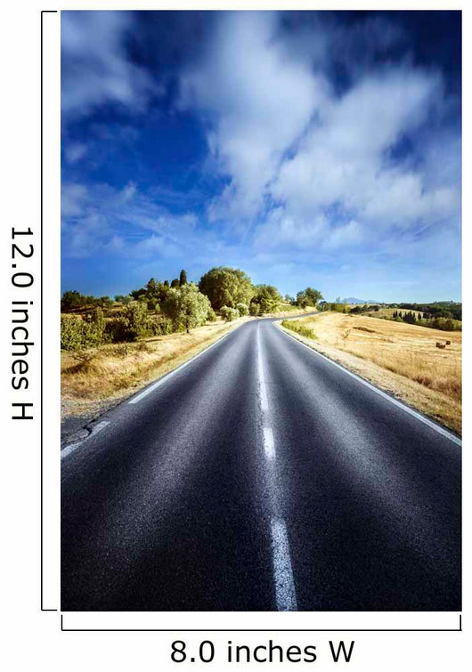 Asphalt Road against Tranquil Wall Decal