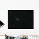 Hundreds Galaxies Coma Cluster Wall Decal