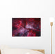 Grand Carina Nebula Southern Wall Decal