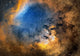 Cederblad 214 Emission Nebula Wall Decal