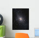 Ngc 5128 Radio Galaxy Wall Decal