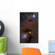 Rich Region Reflection and Wall Decal