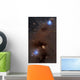 Rich Region Reflection and Wall Decal