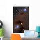 Rich Region Reflection and Wall Decal