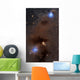 Rich Region Reflection and Wall Decal