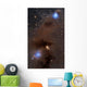 Rich Region Reflection and Wall Decal