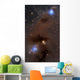Rich Region Reflection and Wall Decal