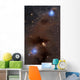 Rich Region Reflection and Wall Decal
