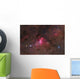 False Comet Cluster Scorpius Wall Decal