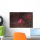 False Comet Cluster Scorpius Wall Decal