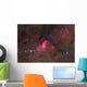 False Comet Cluster Scorpius Wall Decal