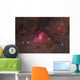 False Comet Cluster Scorpius Wall Decal