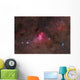 False Comet Cluster Scorpius Wall Decal