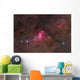 False Comet Cluster Scorpius Wall Decal