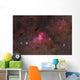 False Comet Cluster Scorpius Wall Decal