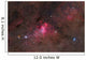 False Comet Cluster Scorpius Wall Decal