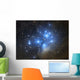 Pleiades Open Star Cluster Wall Decal