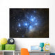 Pleiades Open Star Cluster Wall Decal