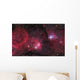 Ngc 3293 Gem Cluster Wall Decal