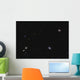 Leo I Galaxy Cluster Wall Decal