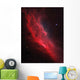 Ngc 1499 California Nebula Wall Decal
