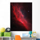 Ngc 1499 California Nebula Wall Decal
